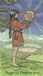 Robin Wood Tarot <br> Minor Arcana <br>Page of Pentacles